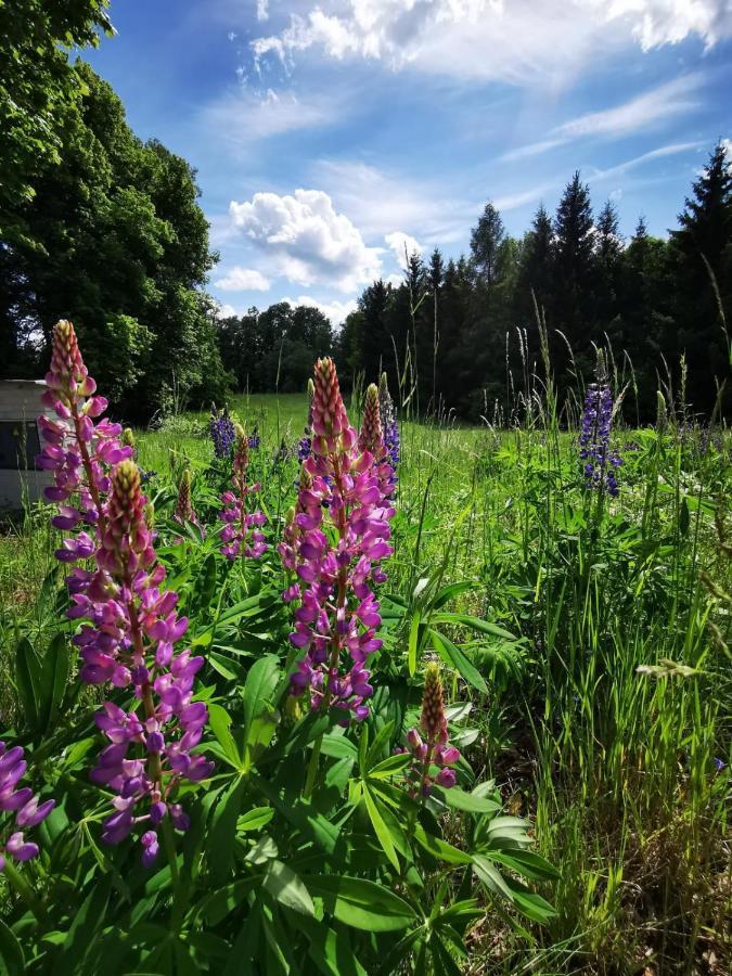 Cyklocamp Pod Landstejnem Hotell Stare Mesto  Exteriör bild