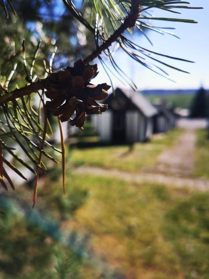 Cyklocamp Pod Landstejnem Hotell Stare Mesto  Exteriör bild